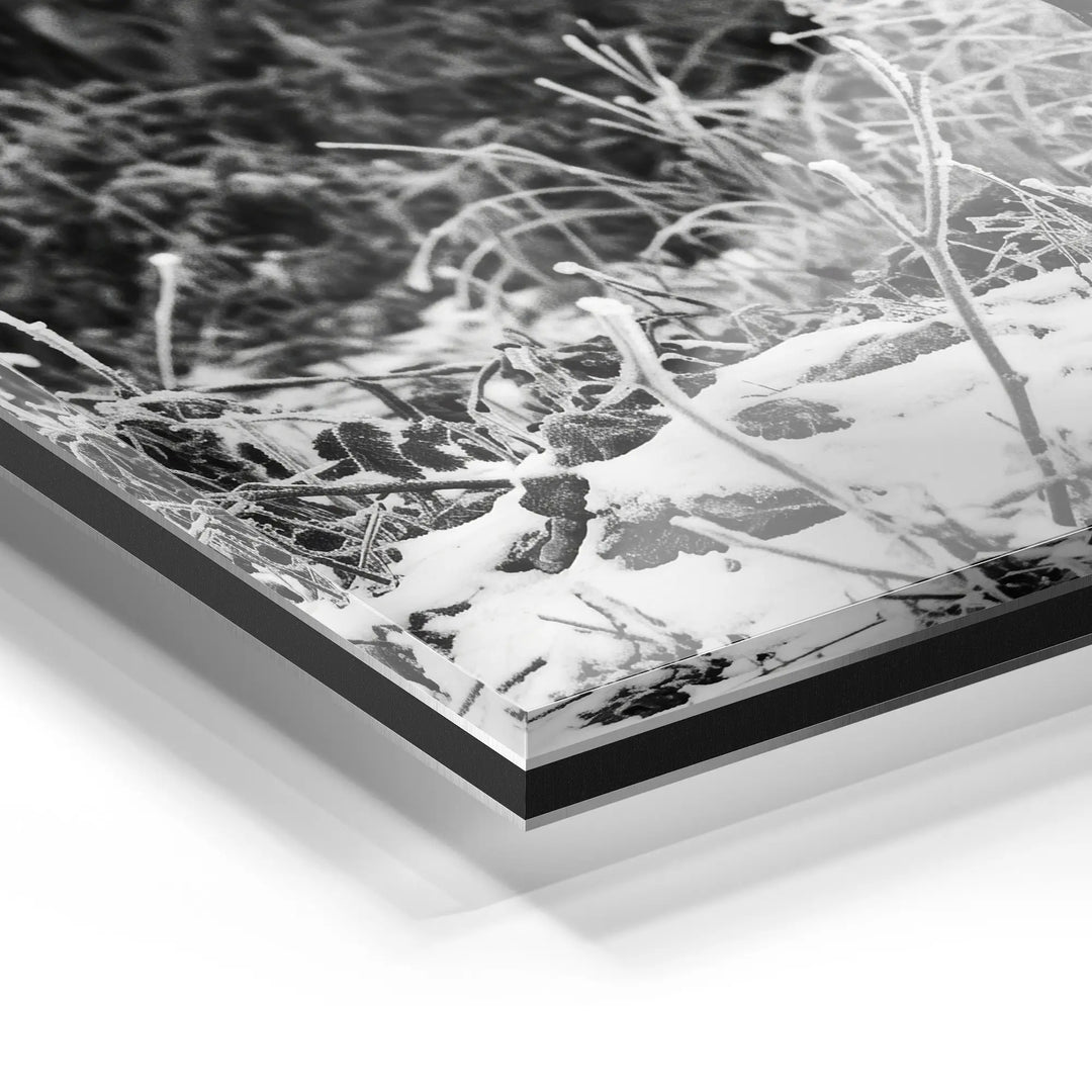 Frost Antlers