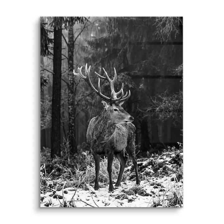 Frost Antlers