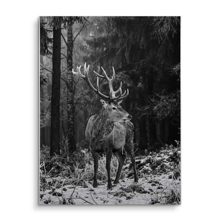 Frost Antlers