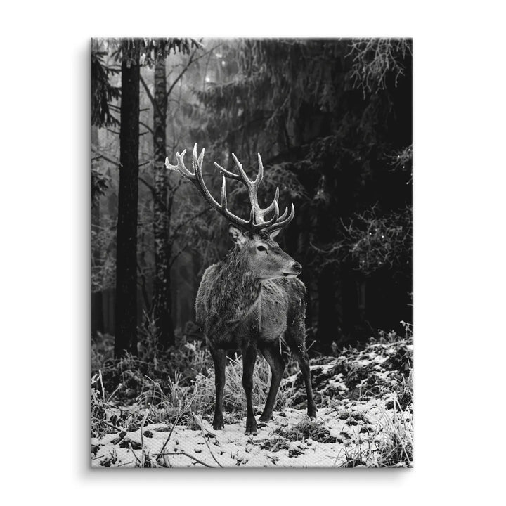 Frost Antlers