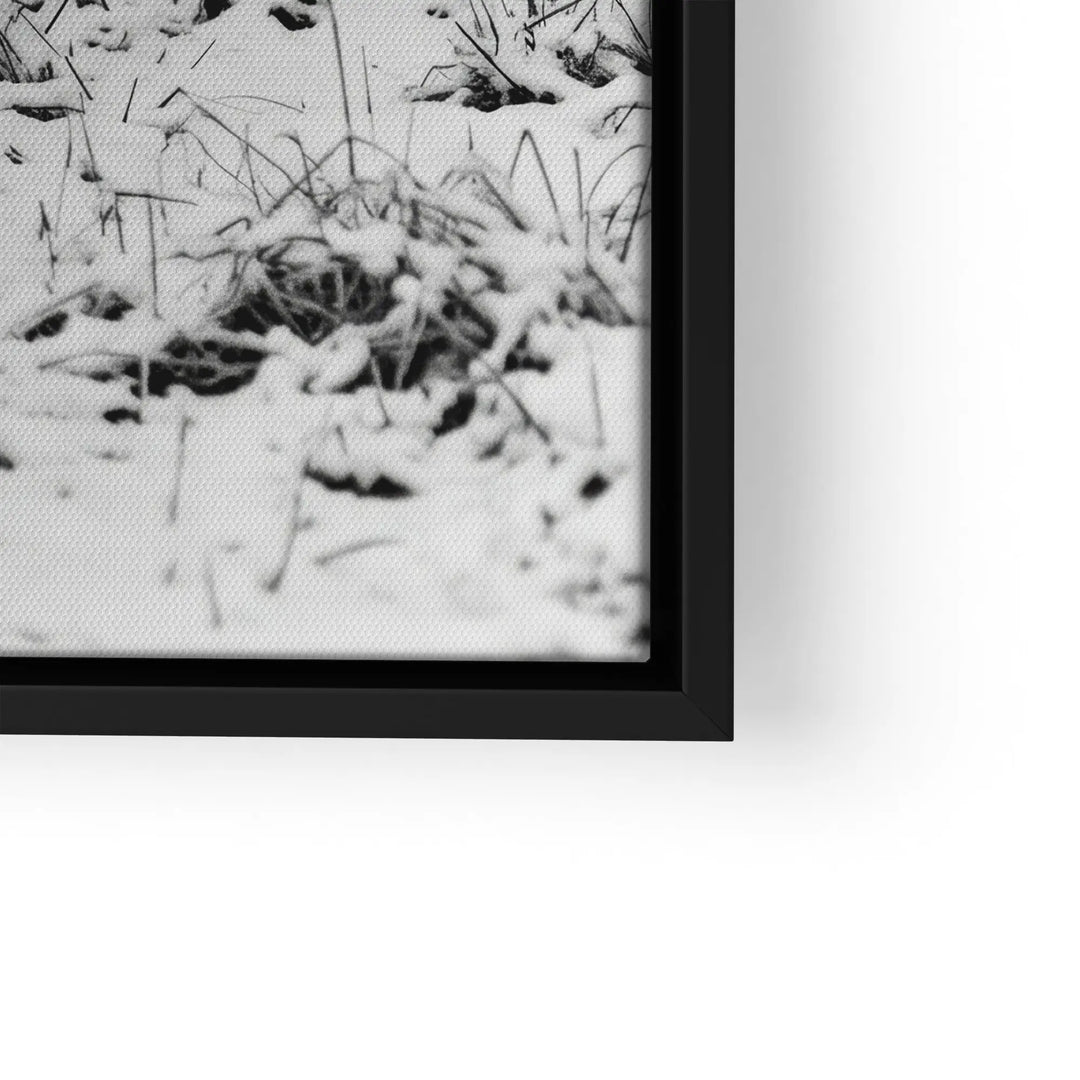 Highland Winter