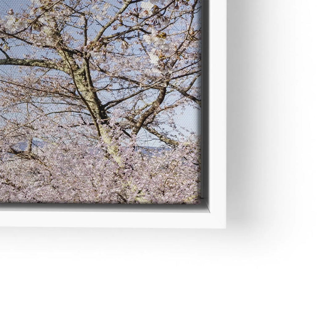 Fuji Blossom