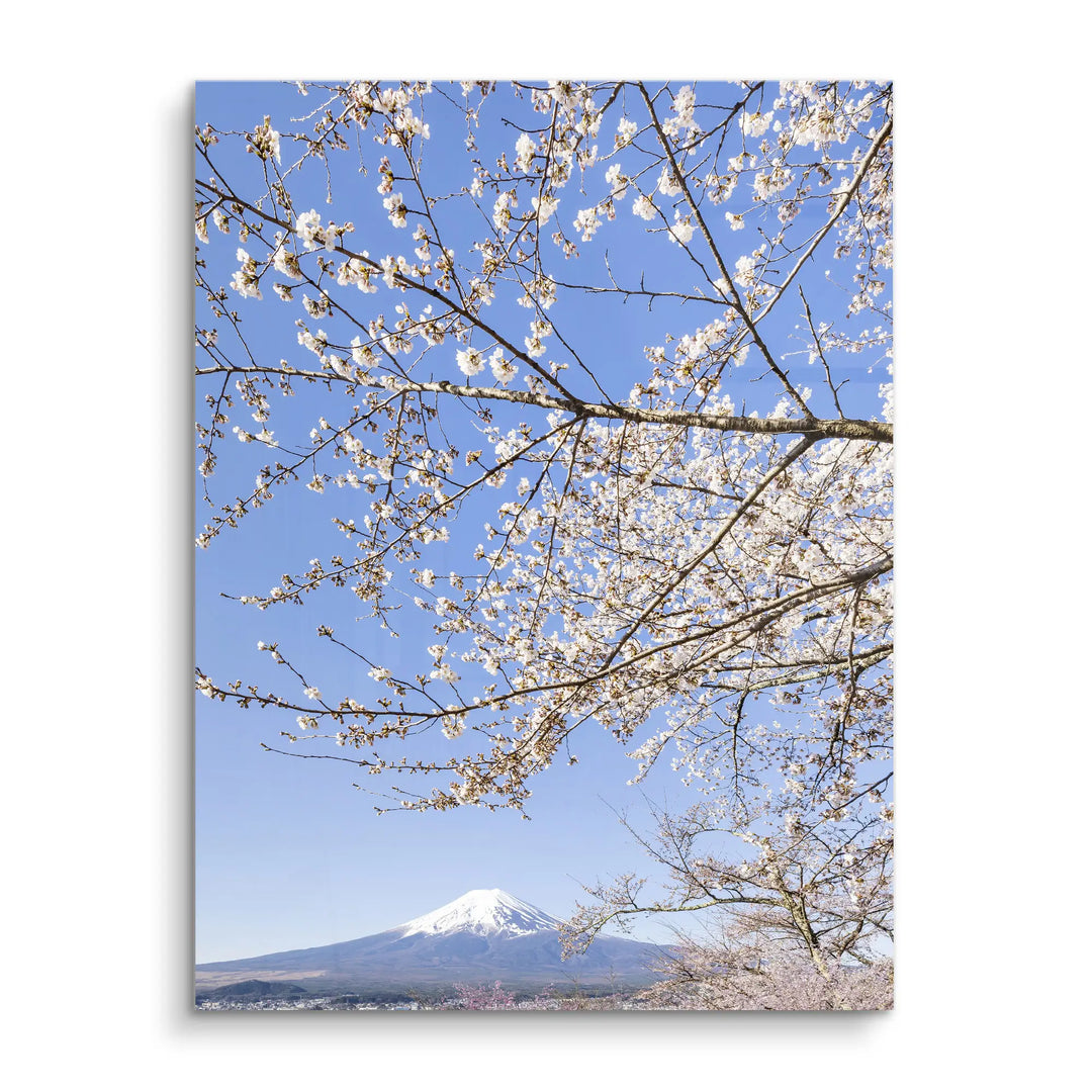 Fuji Blossom