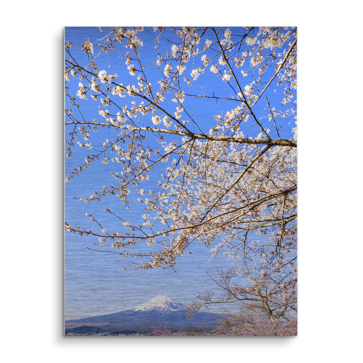 Fuji Blossom