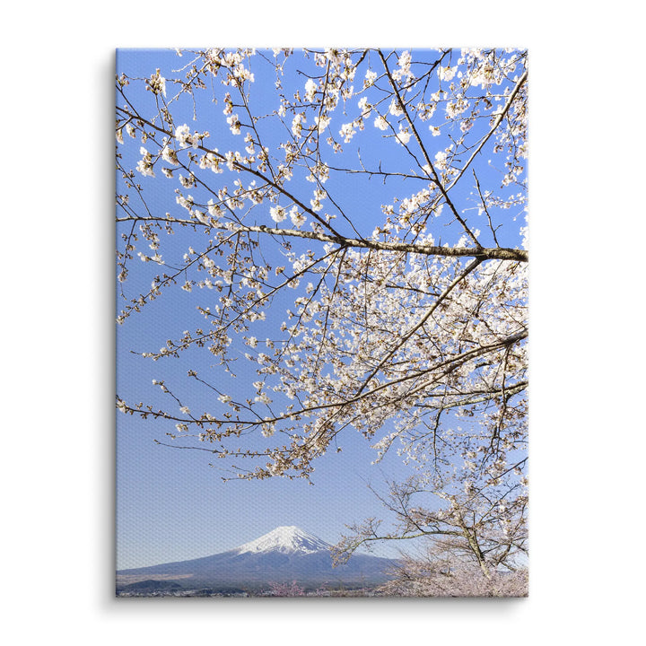 Fuji Blossom