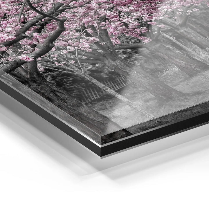 Blossom Alley