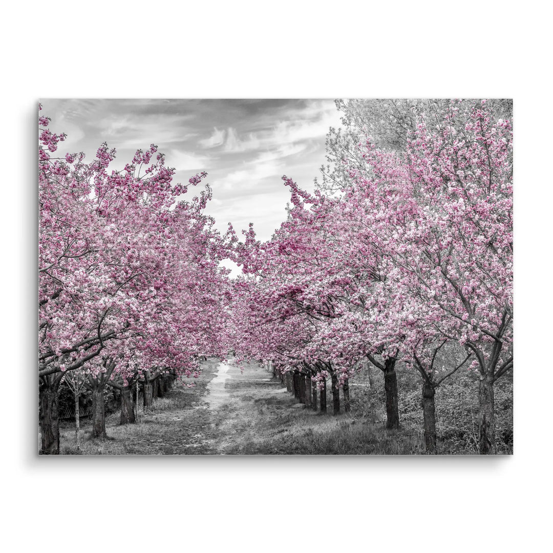 Blossom Alley