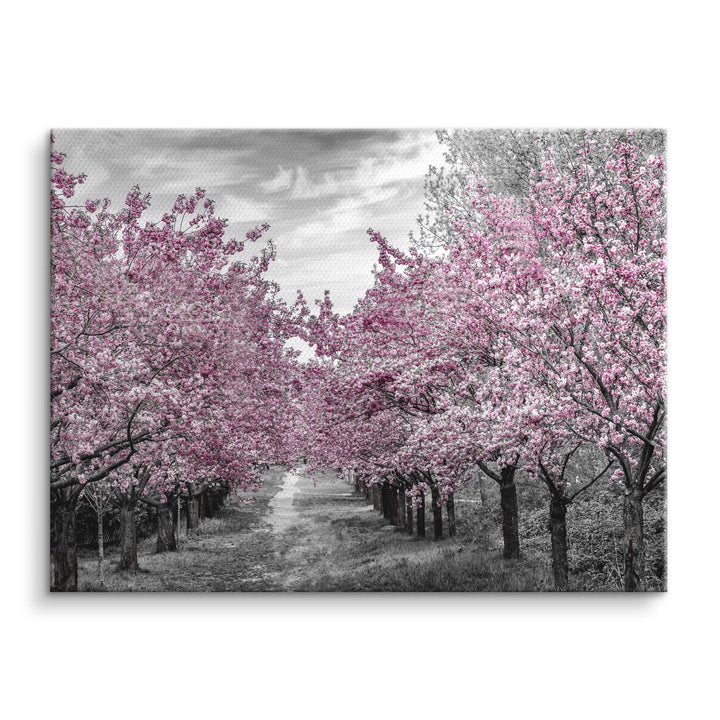 Blossom Alley