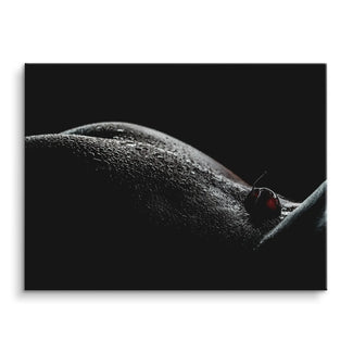 The Cherry