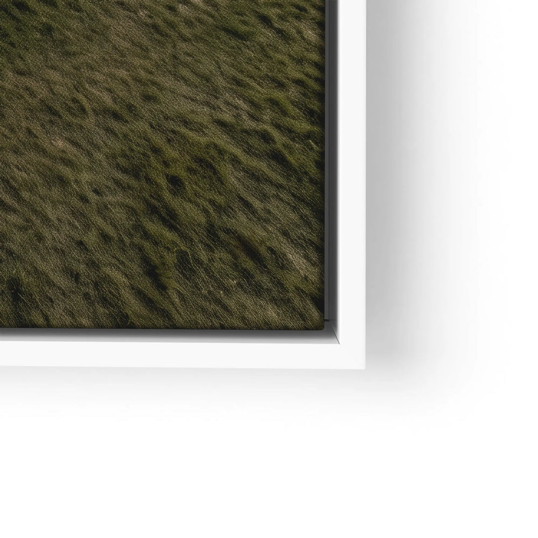 Circular Silence