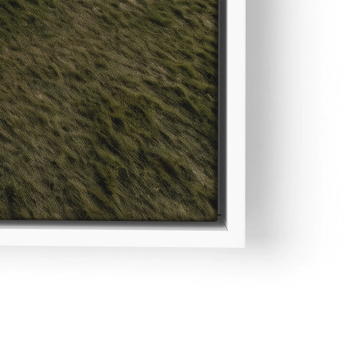 Circular Silence