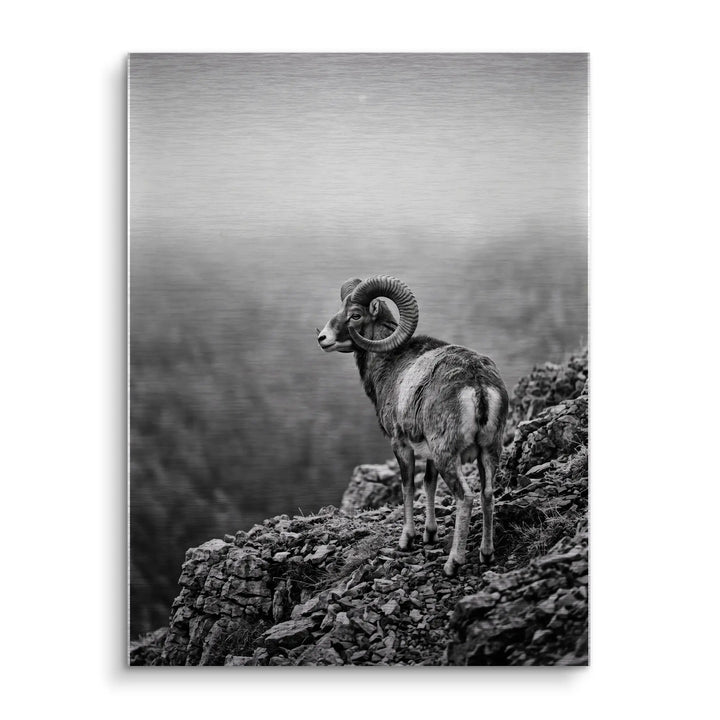 Mountain Sentinel