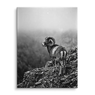 Mountain Sentinel