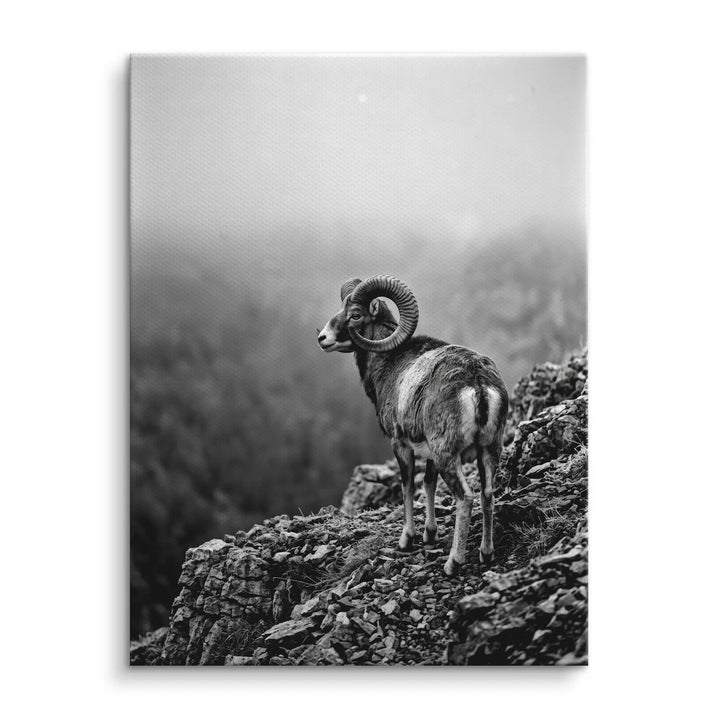 Mountain Sentinel