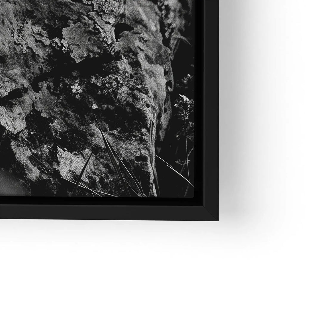 Alpine Watch