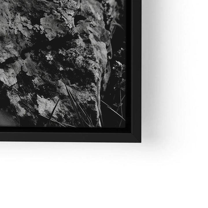 Alpine Watch