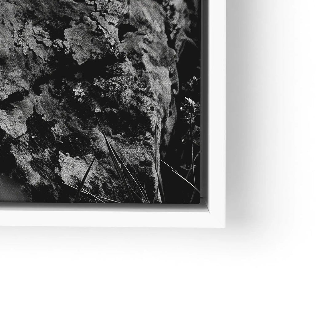 Alpine Watch
