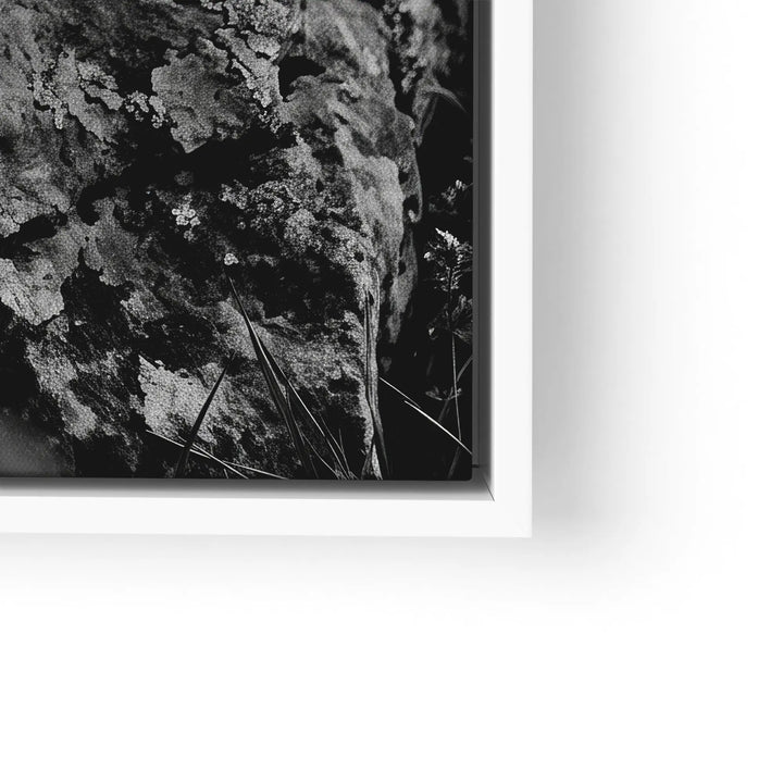 Alpine Watch