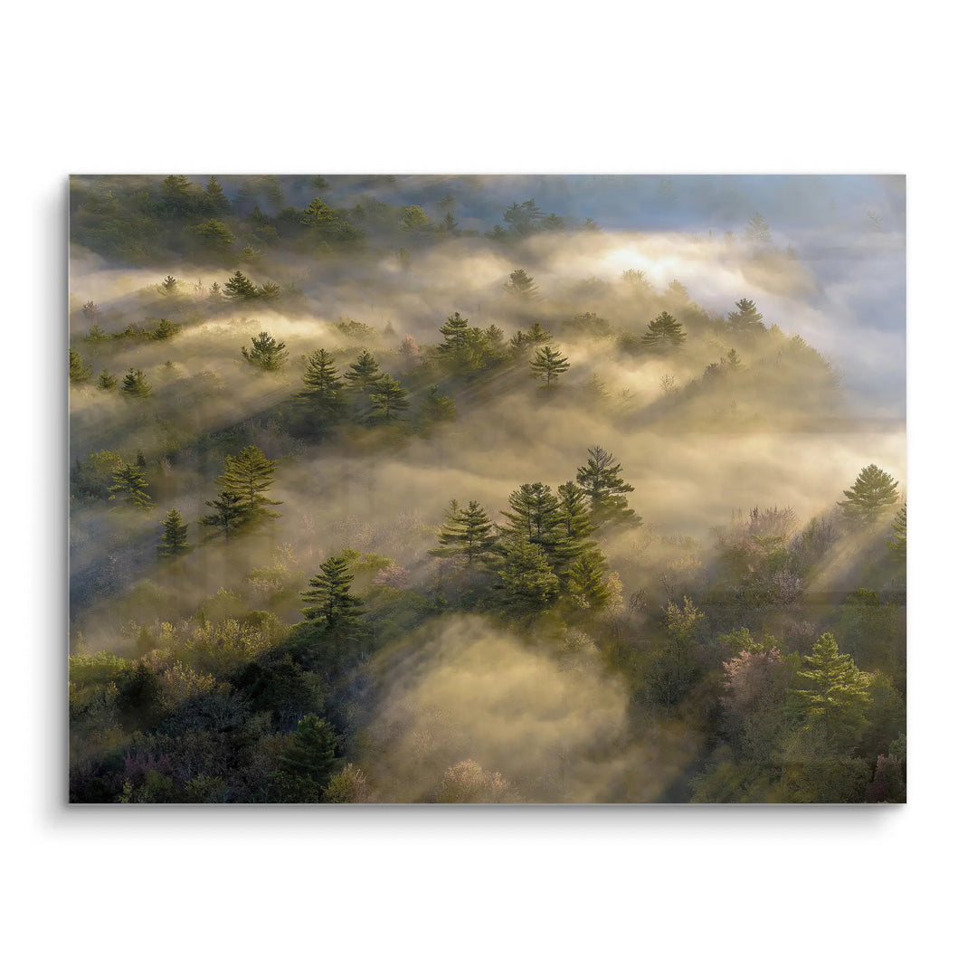 Maine Morning