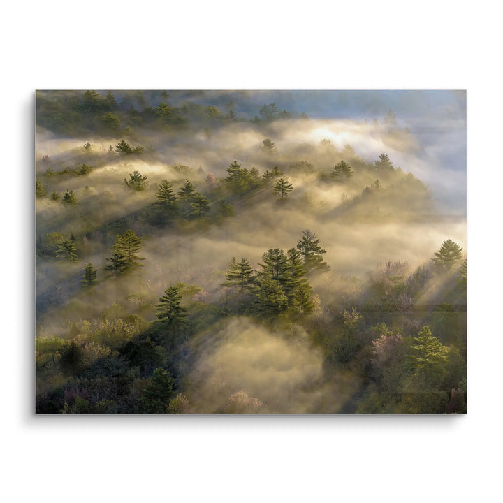 Maine Morning