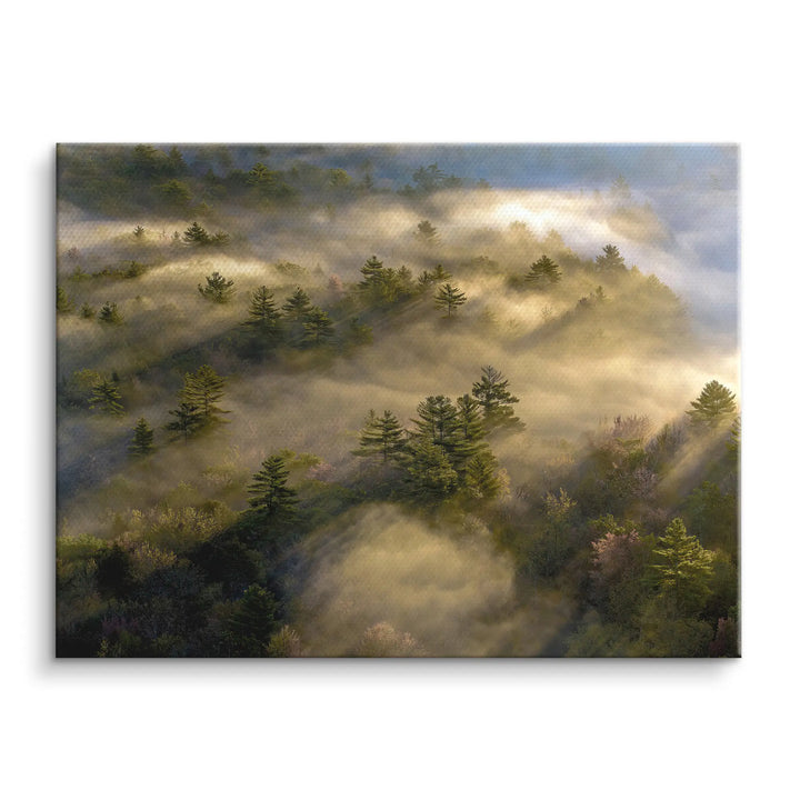 Maine Morning