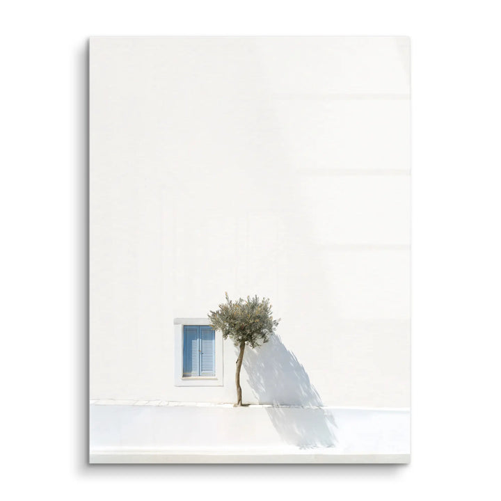 Olive tree
