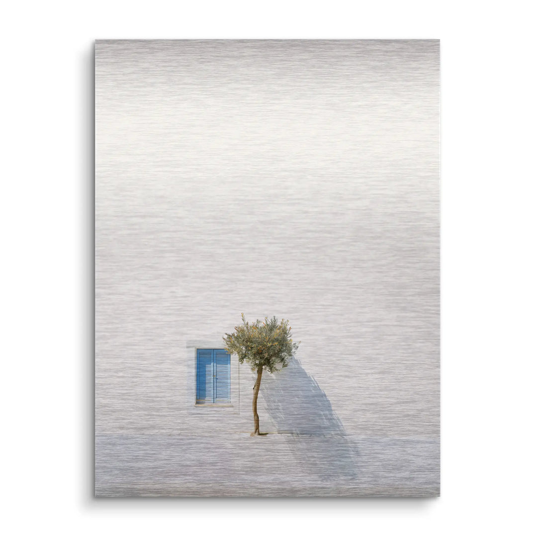 Olive tree