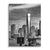 Freedom Tower Skyline