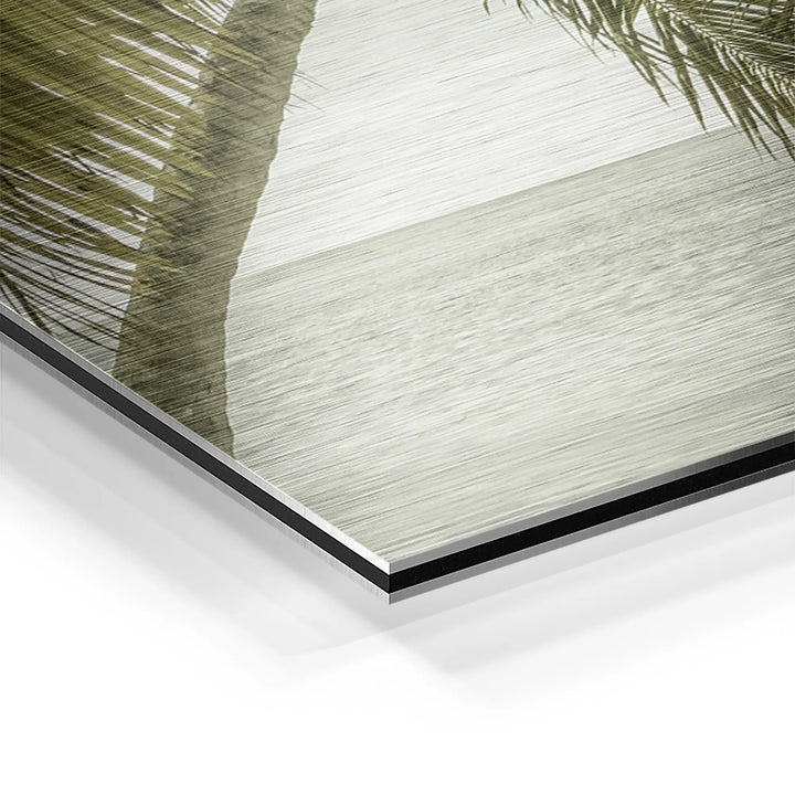 Palm Horizon