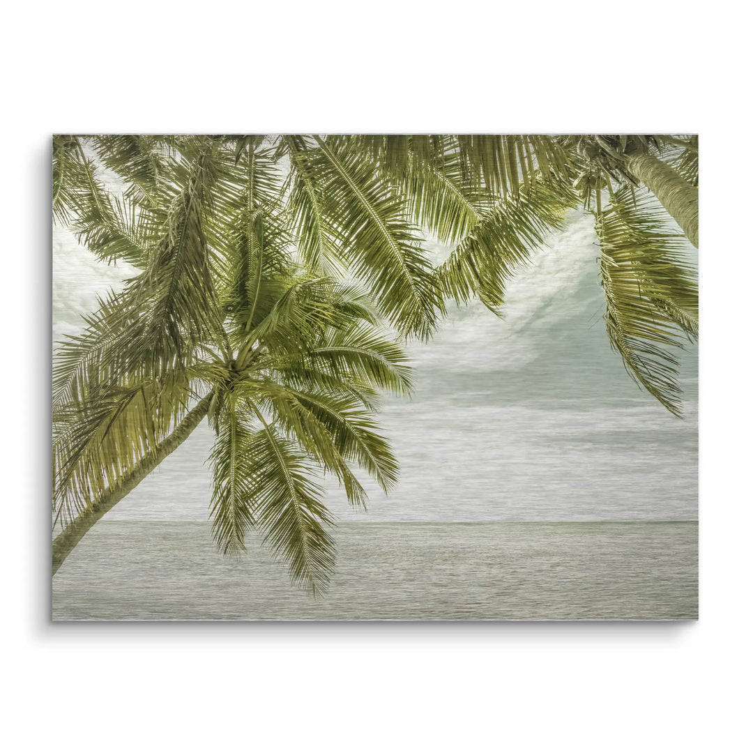 Palm Horizon