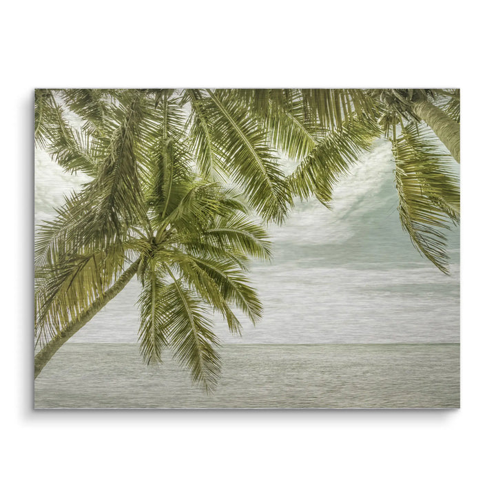 Palm Horizon