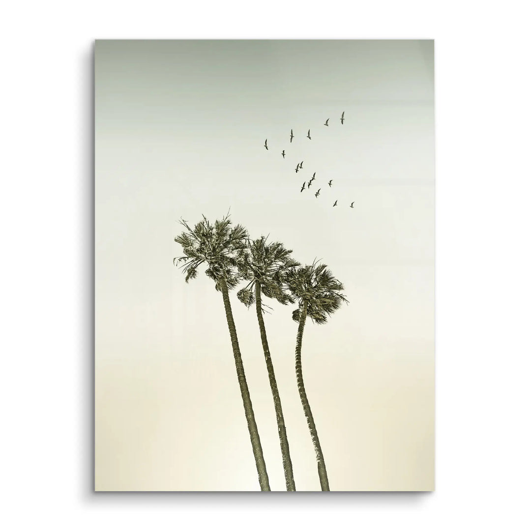 Palm Sky Drift