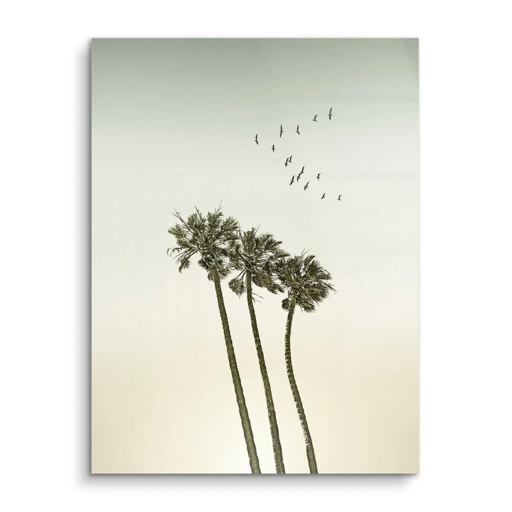 Palm Sky Drift