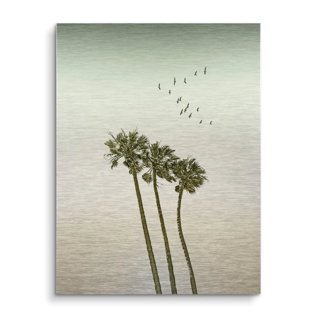 Palm Sky Drift