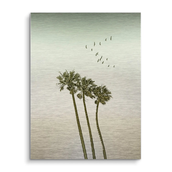 Palm Sky Drift