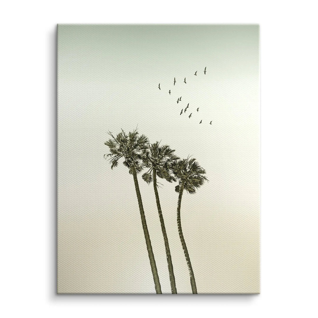 Palm Sky Drift