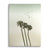 Palm Sky Drift