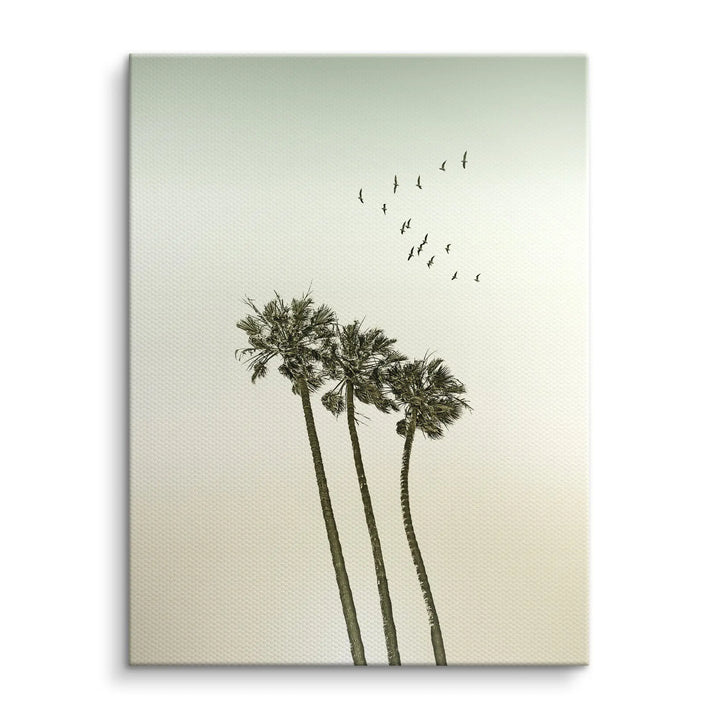 Palm Sky Drift