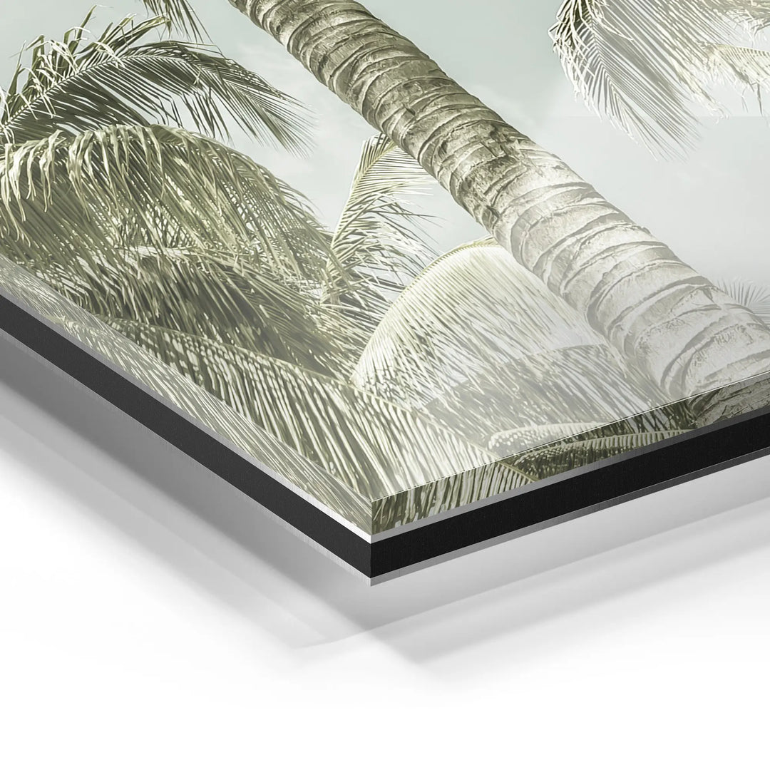 Palm Sky Vista