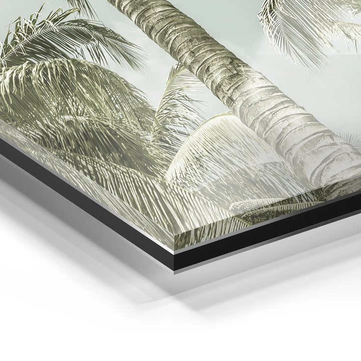 Palm Sky Vista