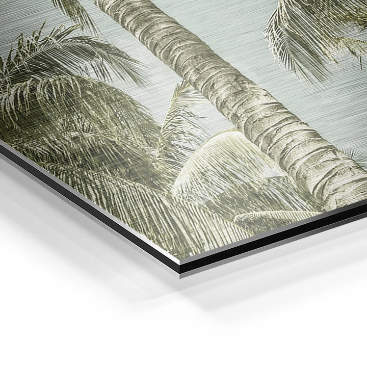 Palm Sky Vista