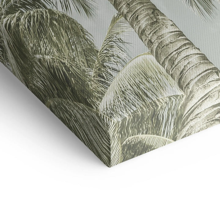 Palm Sky Vista