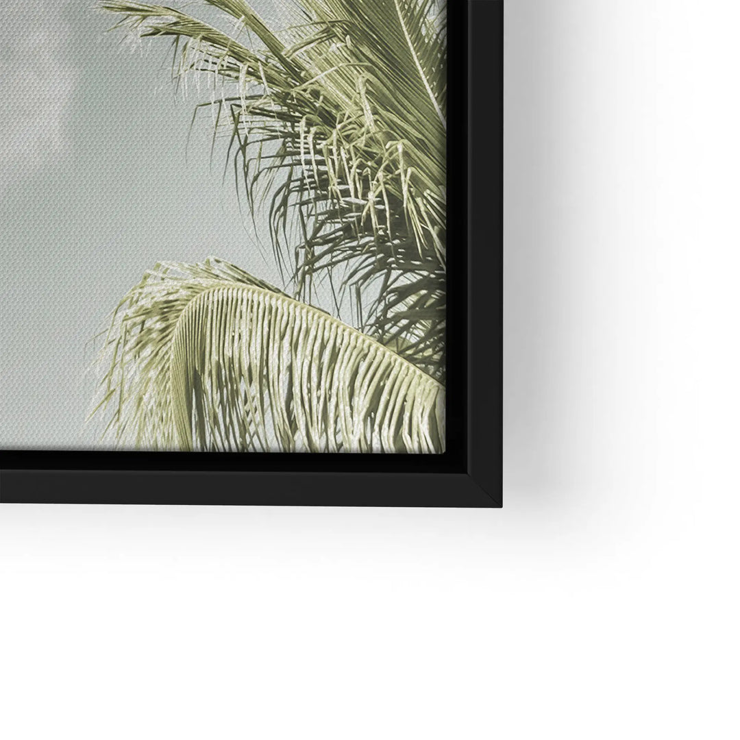 Palm Sky Vista