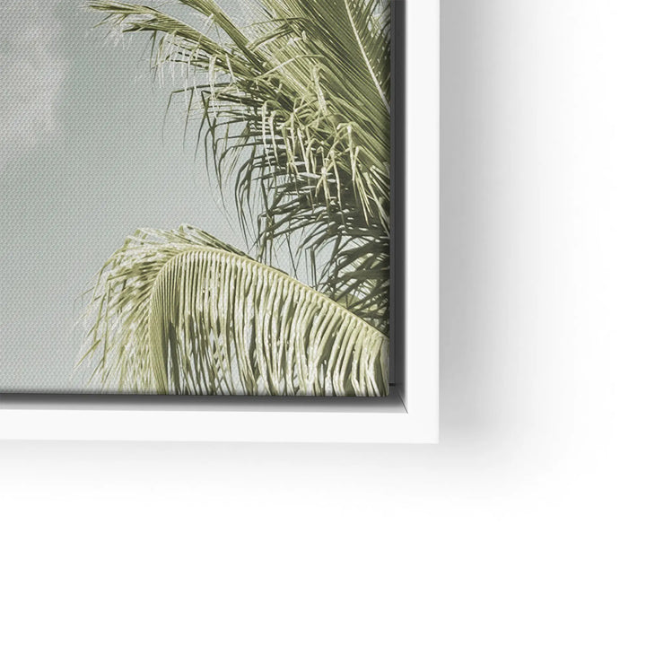 Palm Sky Vista