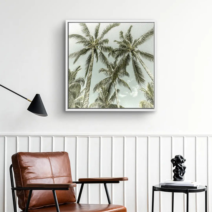 Palm Sky Vista