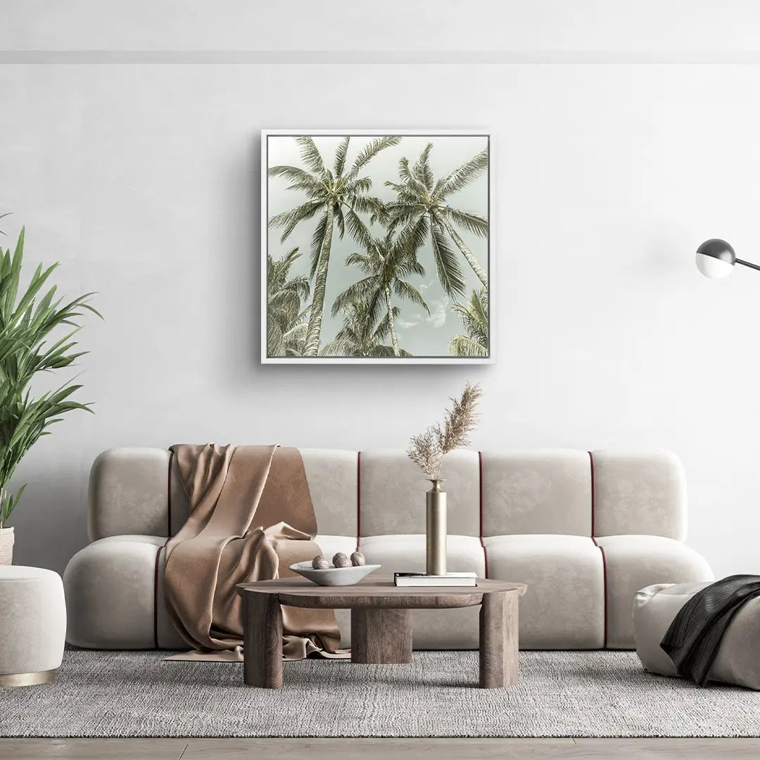 Palm Sky Vista