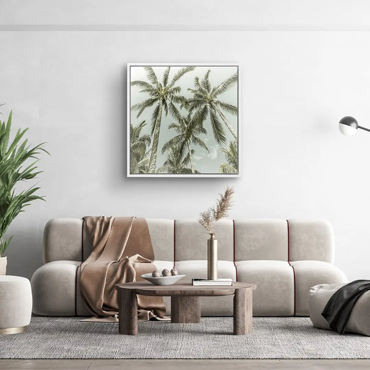 Palm Sky Vista