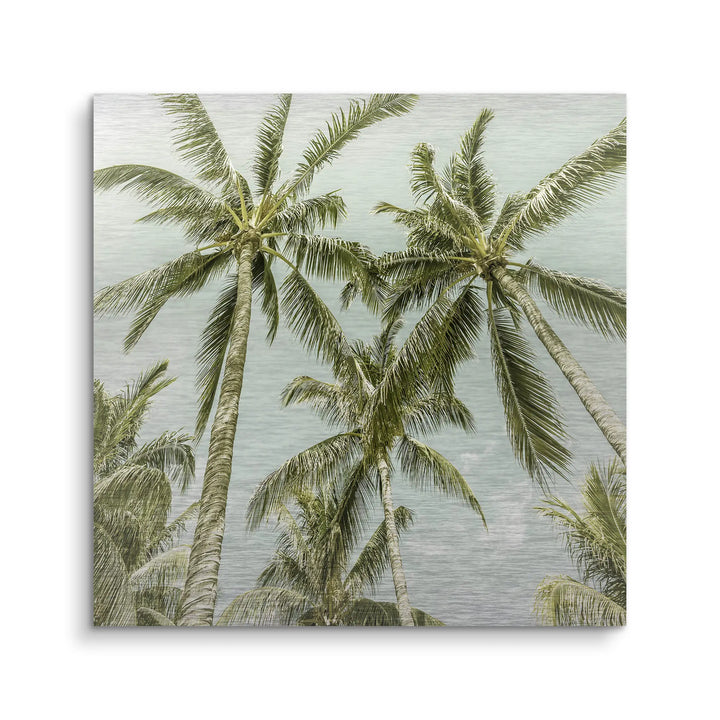 Palm Sky Vista