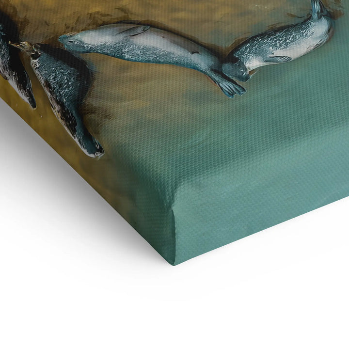 Hauled Out