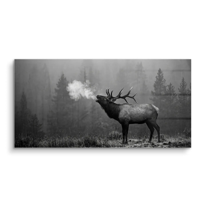 Bugling Elk
